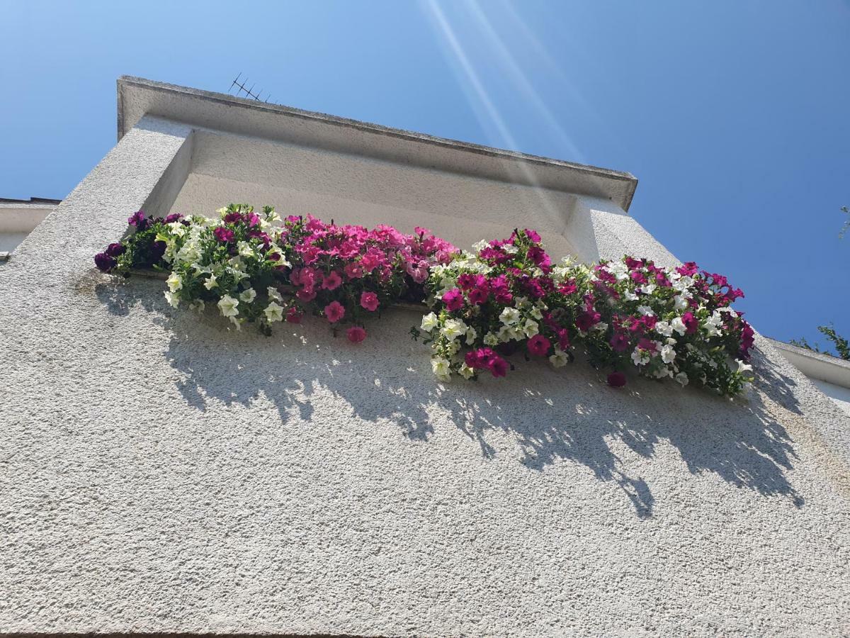 Apartments Kero New Value 2023 Fully Ac Porec Exterior photo